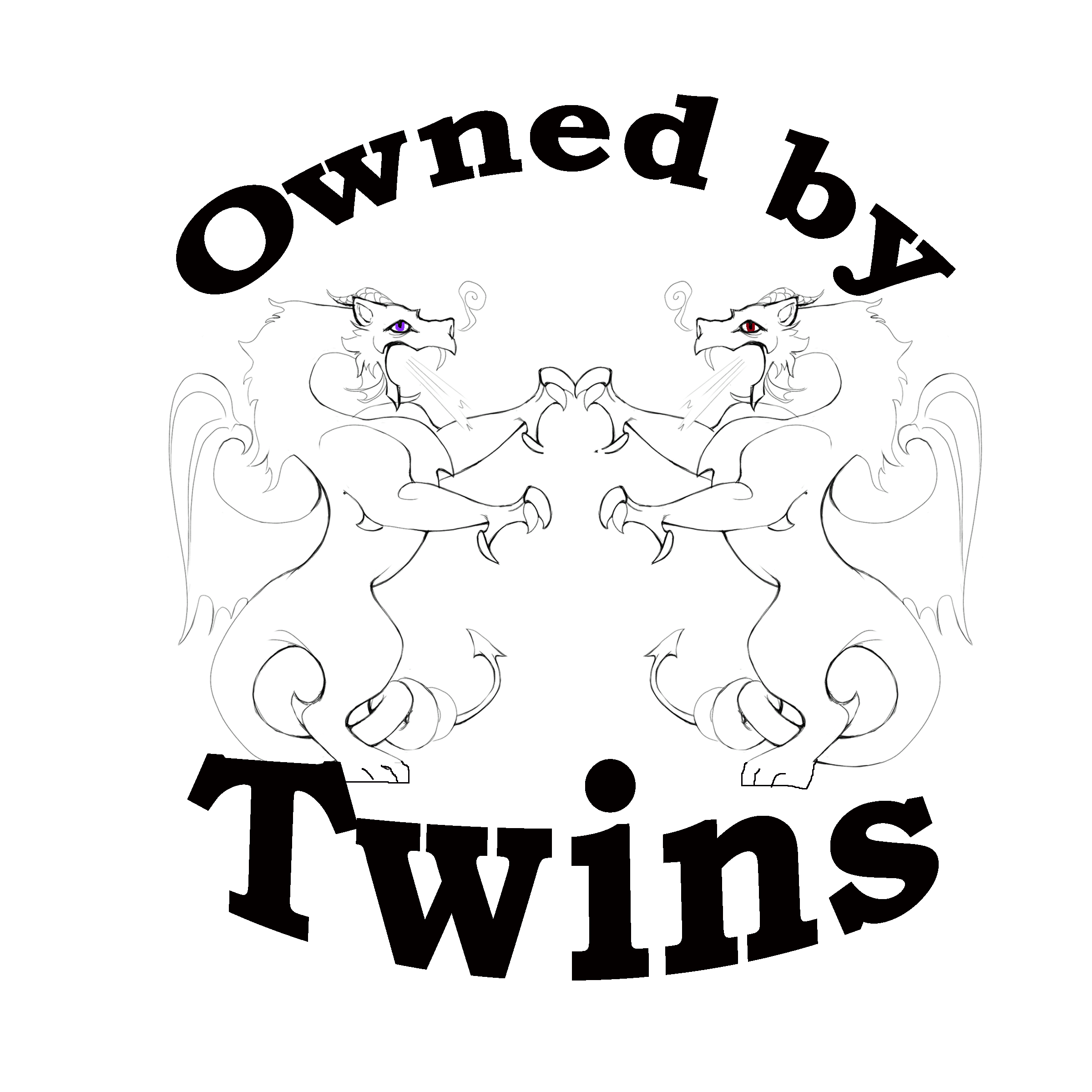 Owned By Twins